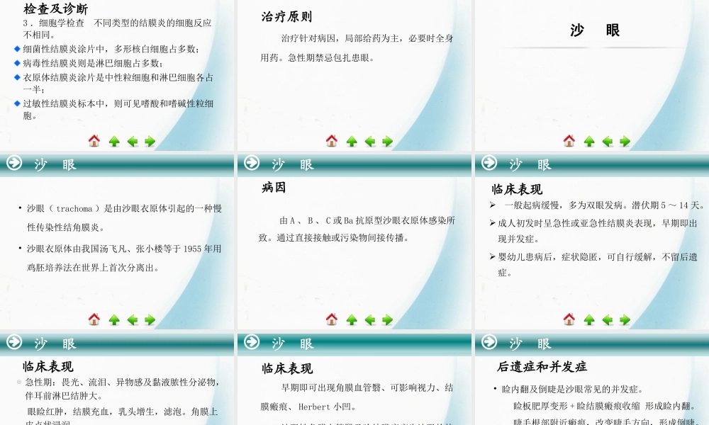 5第五节-结膜病.ppt
