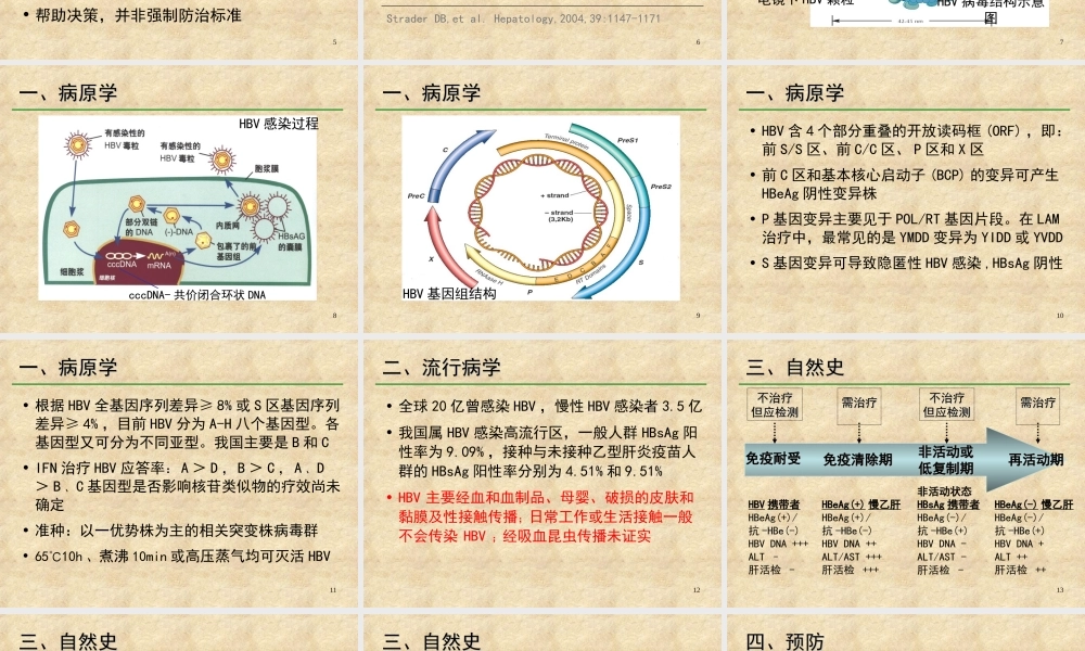 《慢性乙型肝炎防治指南》解读.ppt