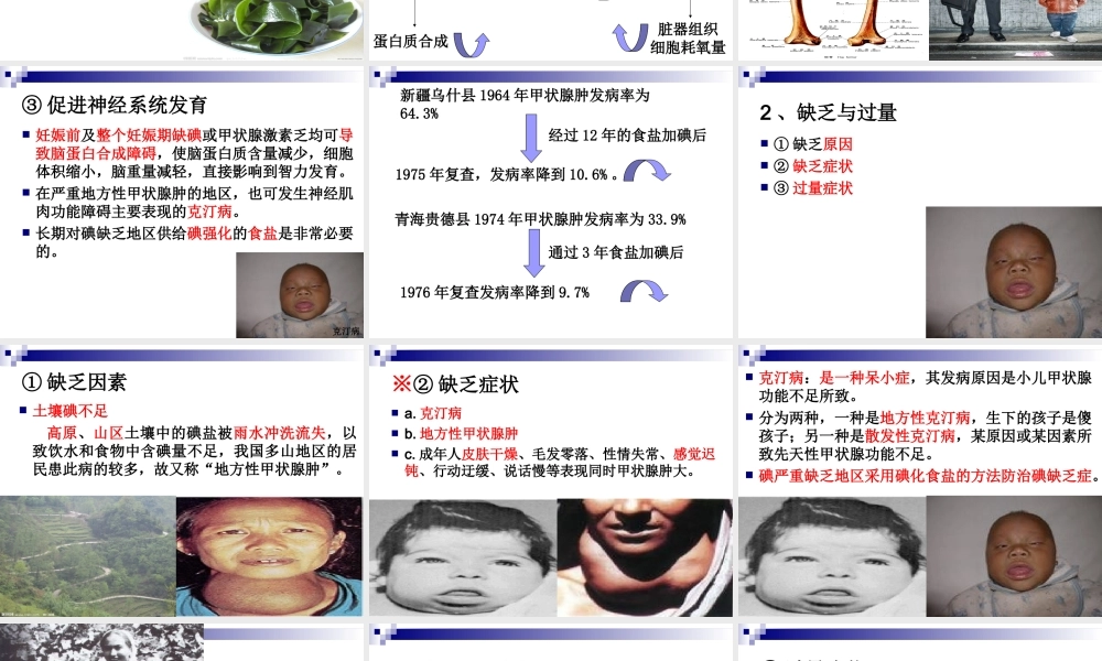 《烹饪营养学》-第十三讲-微量元素-2017版.ppt