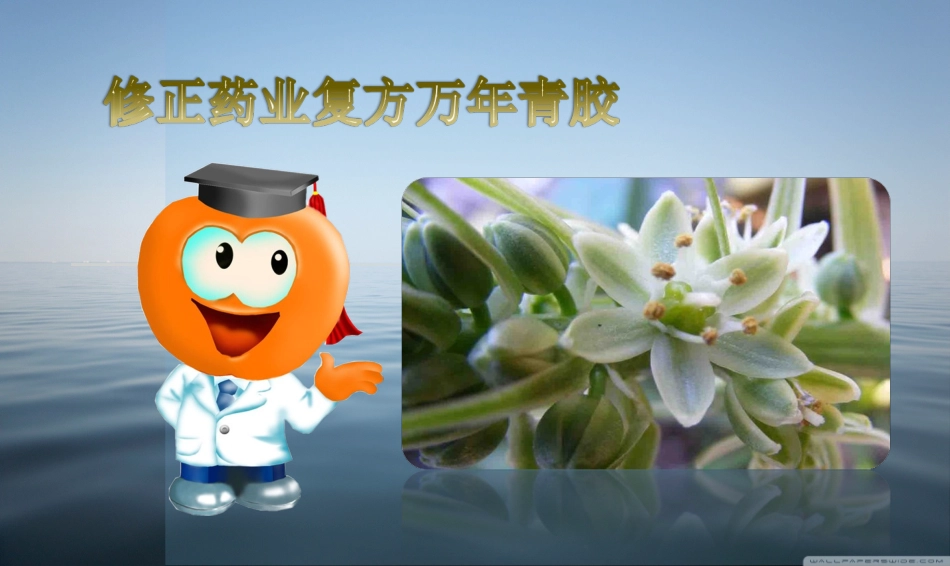 修正药业复方万年青科室.ppt_第1页