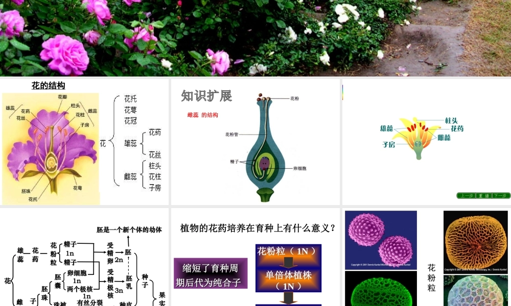 [高二理化生]3[1]2月季花药培养.ppt