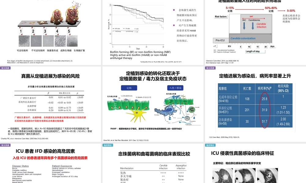 ICU真菌感染特点及诊治思路-徐道妙-教授.pptx
