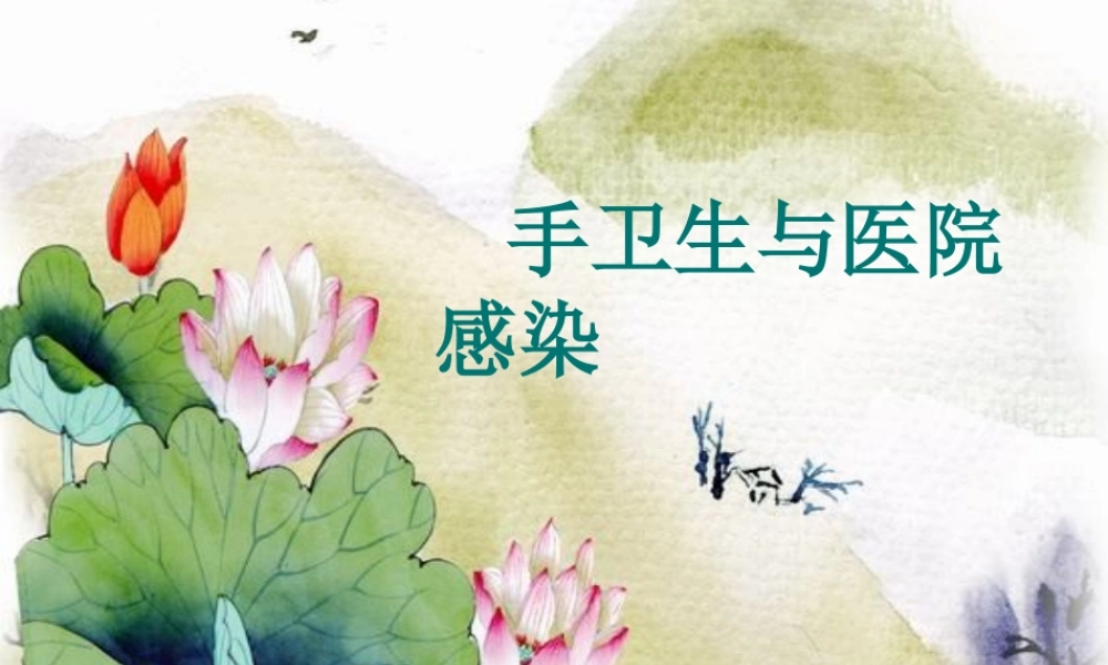 PPT3-手卫生与医院感染.ppt