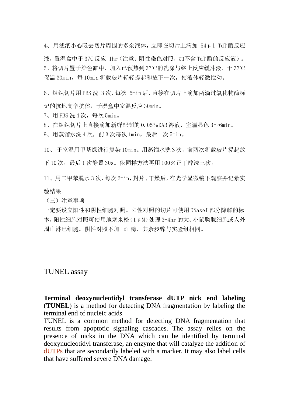 TUNEL染色检测细胞凋亡.doc_第3页