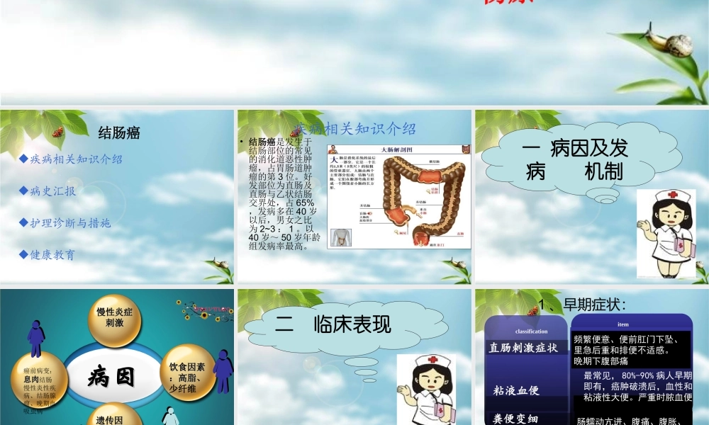 9月-结肠癌概述.ppt