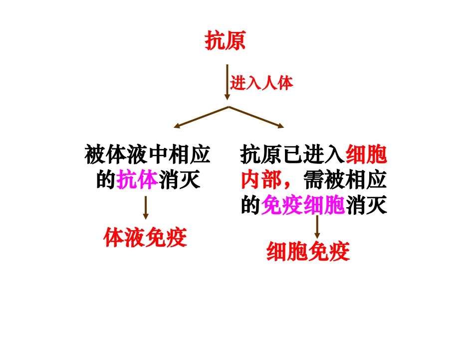 体液免疫与细胞免疫中图版.ppt_第3页