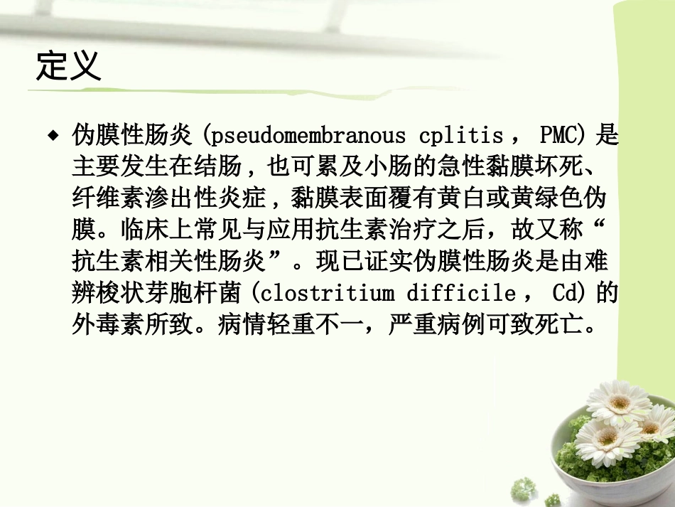 伪膜性肠炎...ppt_第2页