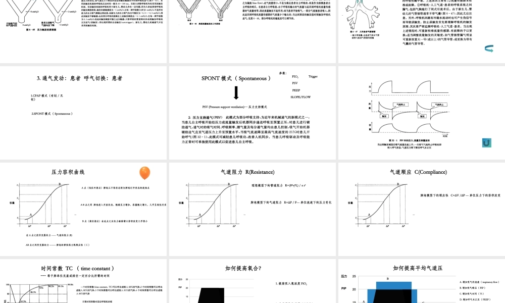 W-呼吸机常频-郑博(定稿)-0000000.pptx