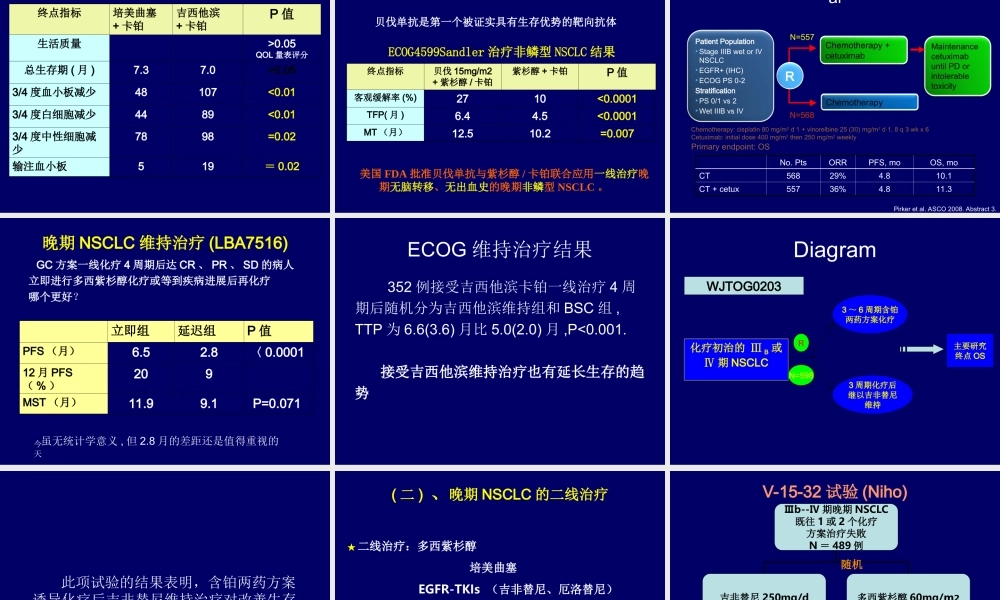 ASCO2008肺癌研究进展.ppt