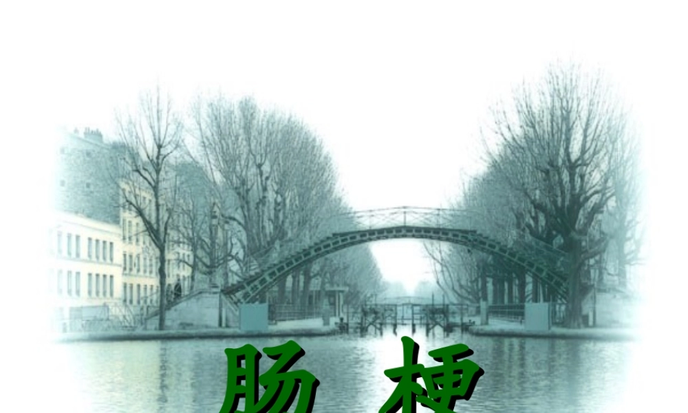 [普外]肠梗阻2.ppt