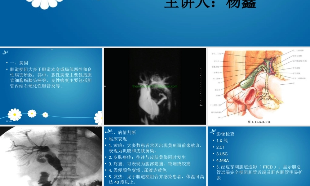 PTCD介入手术.ppt
