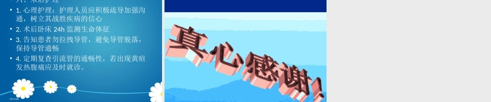PTCD介入手术.ppt