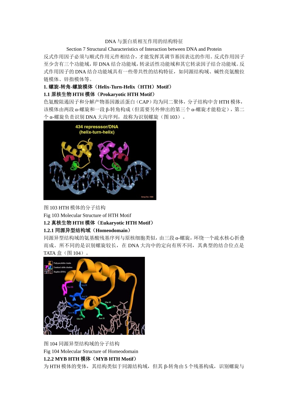 DNA与蛋白质相互作用的结构特征.doc_第1页