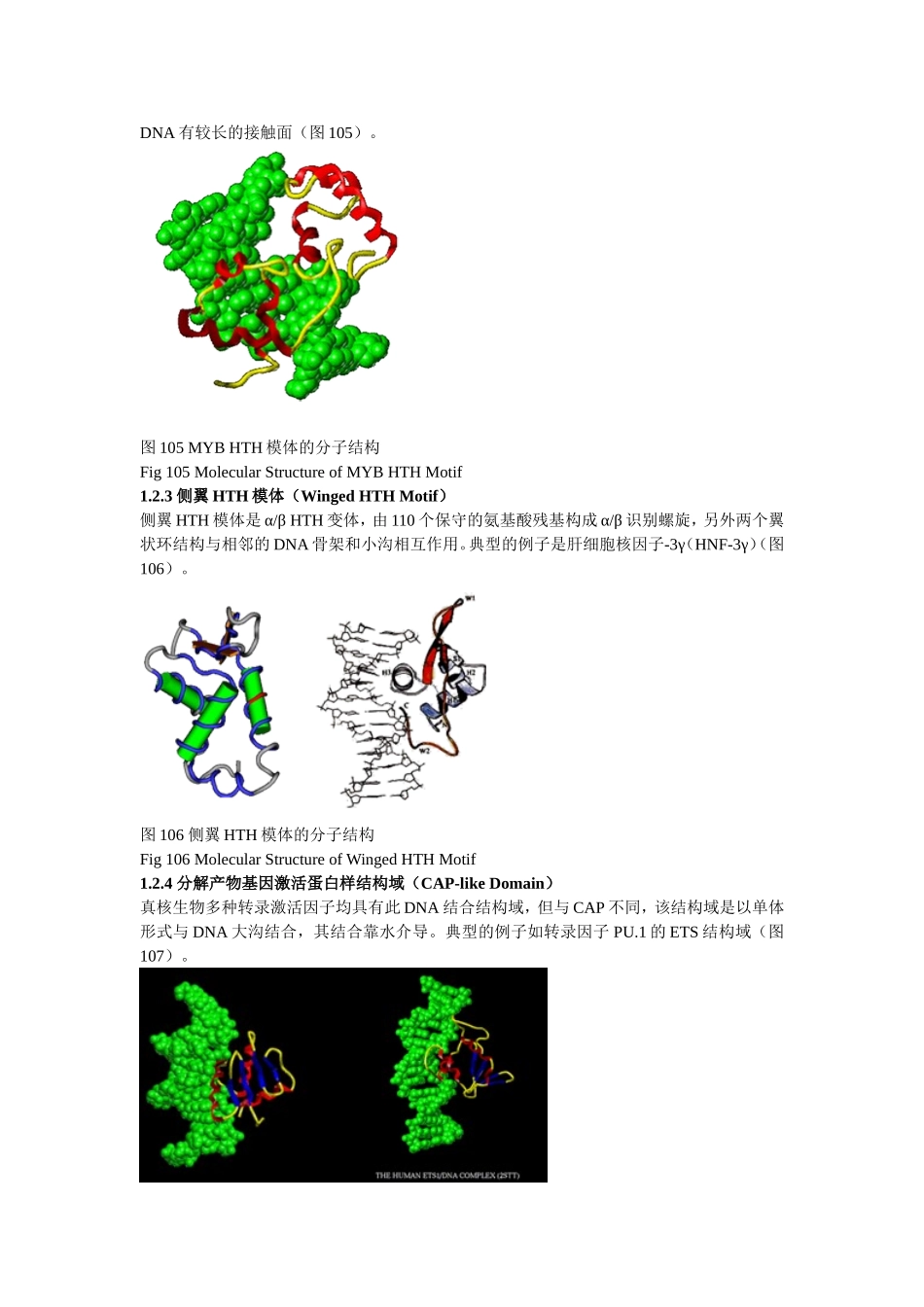 DNA与蛋白质相互作用的结构特征.doc_第2页