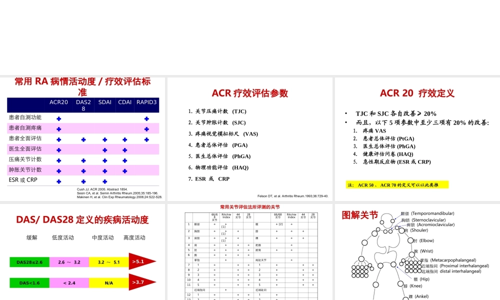RA病情评估.ppt