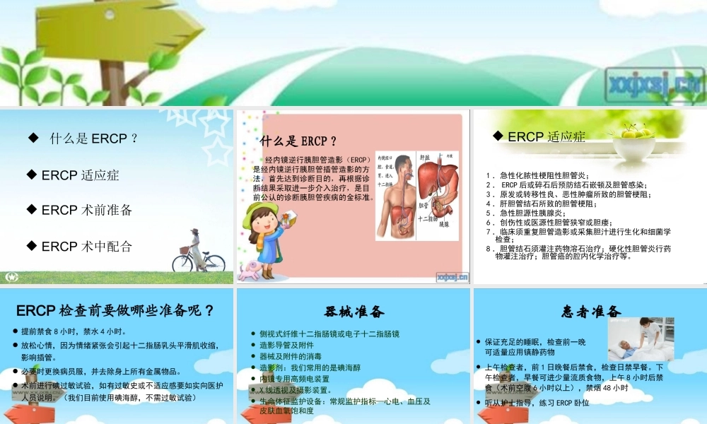 ERCP术中配合.ppt