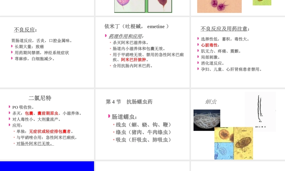 [所有分类]抗阿米巴虫驱肠虫药.ppt