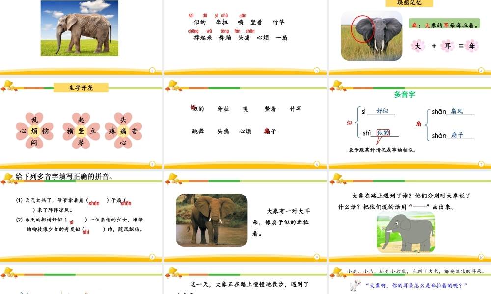 《大象的耳朵》公开课.pptx