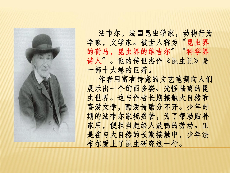 蝉PPT课件.ppt_第2页