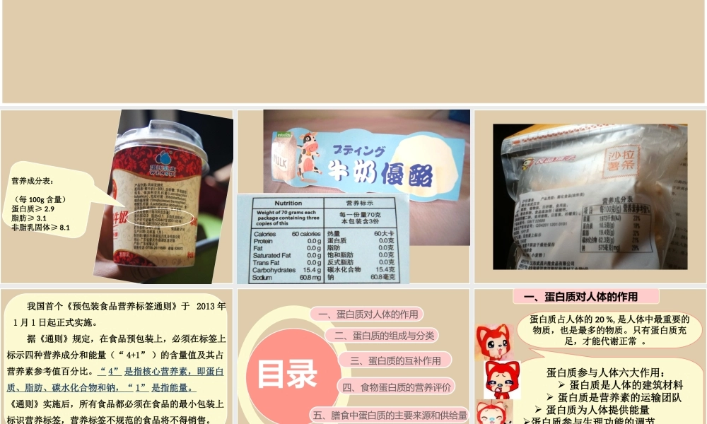 七大营养素之蛋白质.ppt