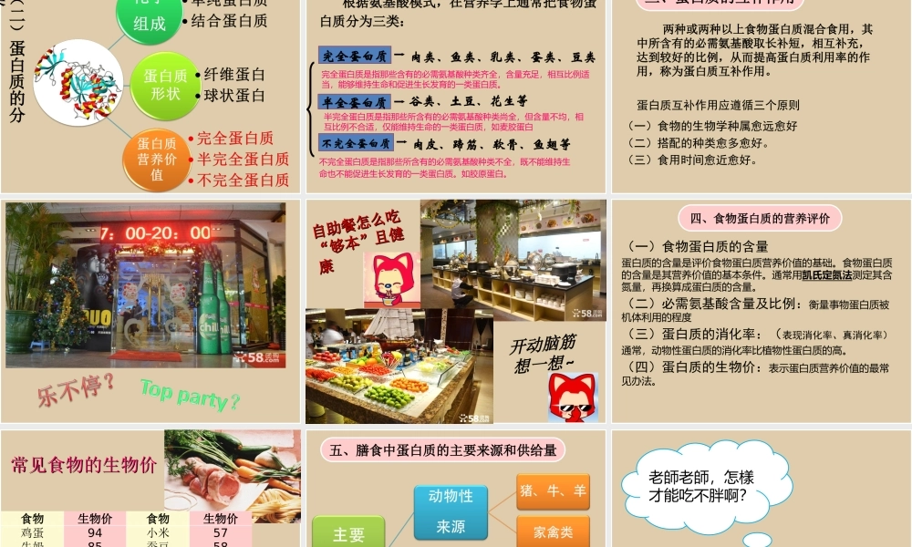 七大营养素之蛋白质.ppt