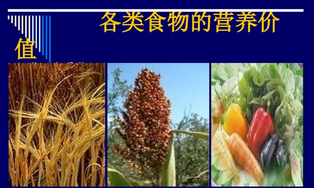 《营养师资料》各类食物的营养价修改-ppt文件.ppt