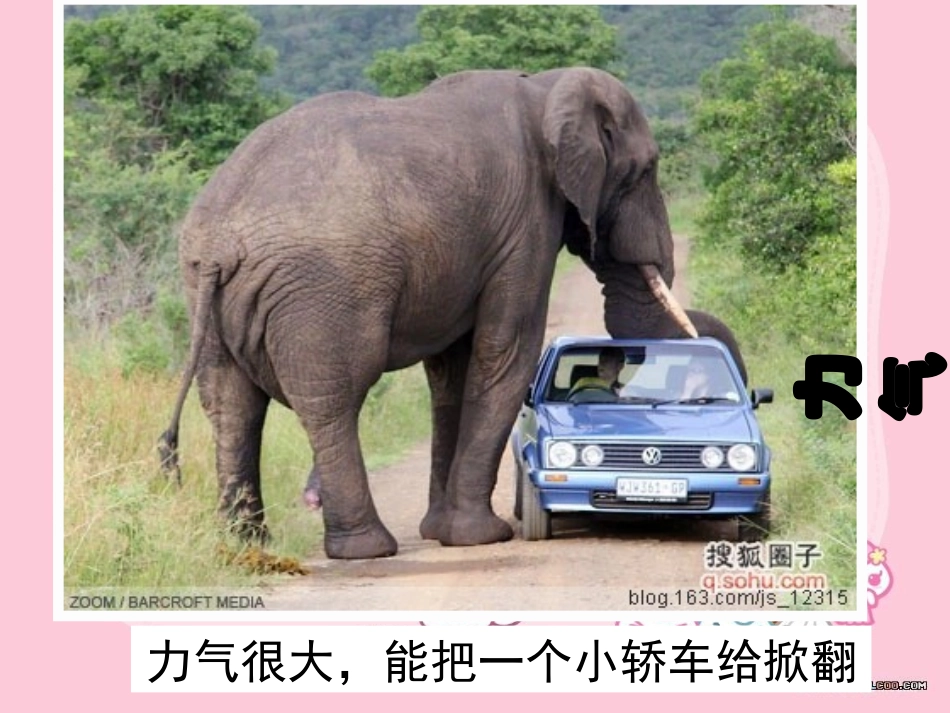 小学综合实践会说话的鼻子(一二年级.ppt_第3页