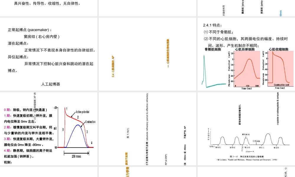 七章血液循环-PPT文档.ppt
