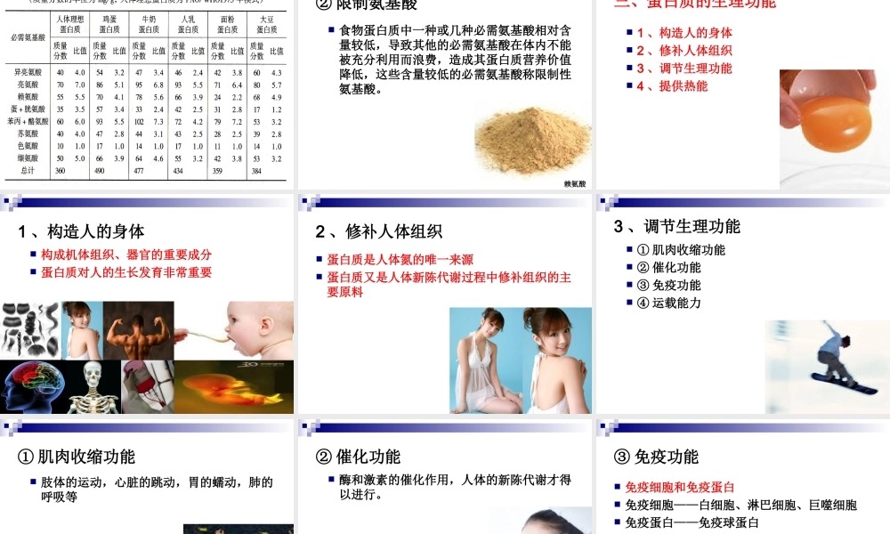 《烹饪营养与卫生》第二讲-蛋白质.ppt