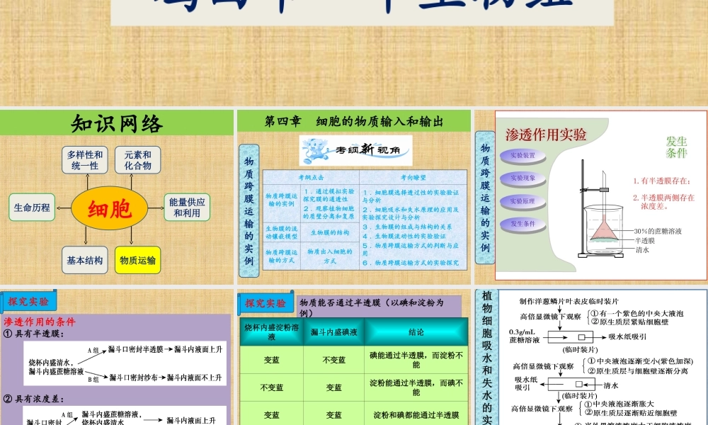 一轮复习4--细胞的物质输入和输出.ppt