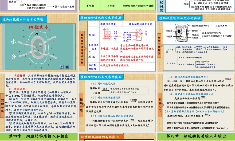 一轮复习4--细胞的物质输入和输出.ppt