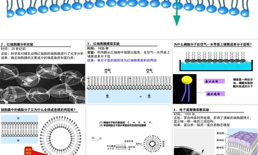 一轮复习：细胞膜流动镶嵌模型.ppt
