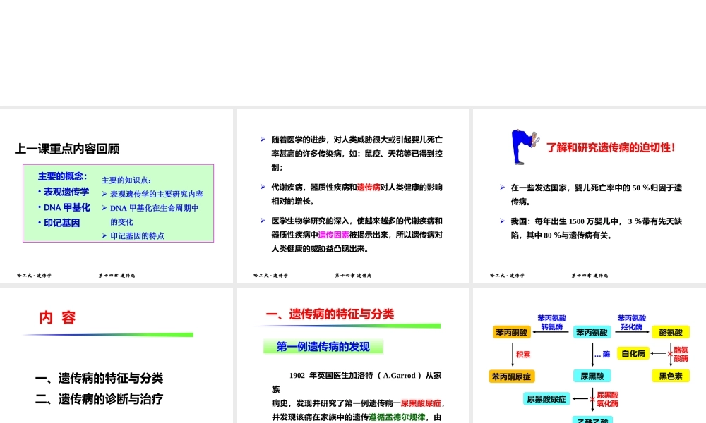 ZFW-遗传病2017(1).pptx