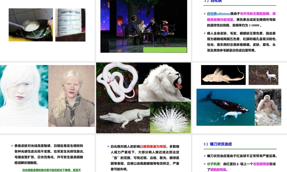 ZFW-遗传病2017(1).pptx