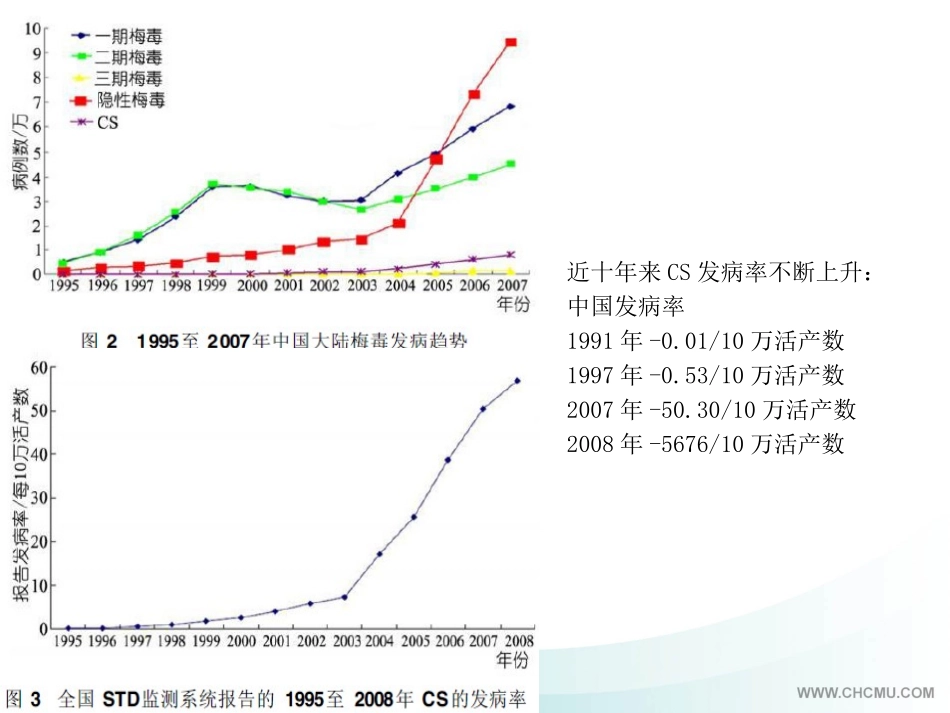 先天性梅毒-诊疗和随访.ppt_第3页