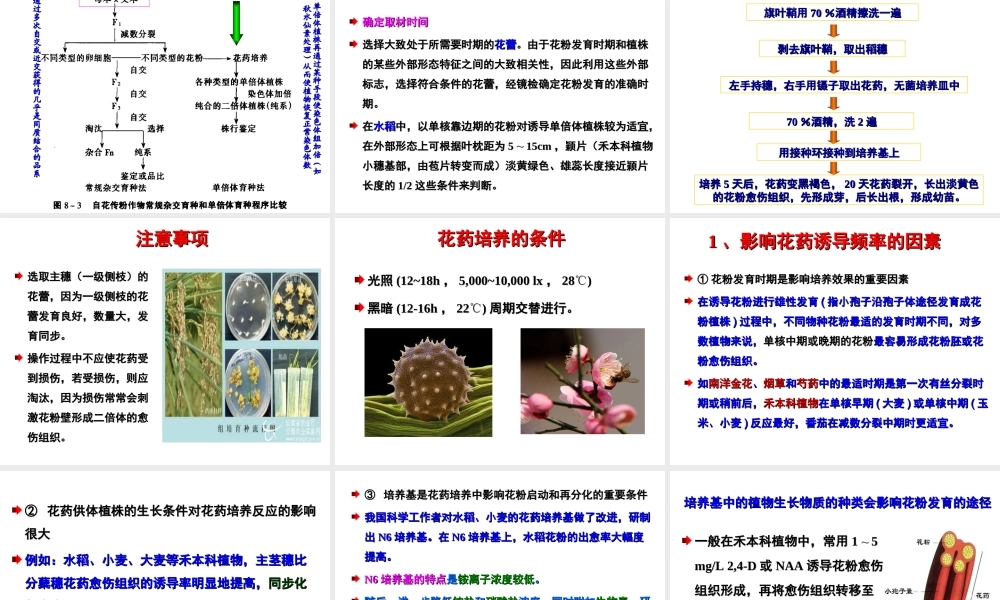 ◆第12章-花药培养和花粉培养.ppt