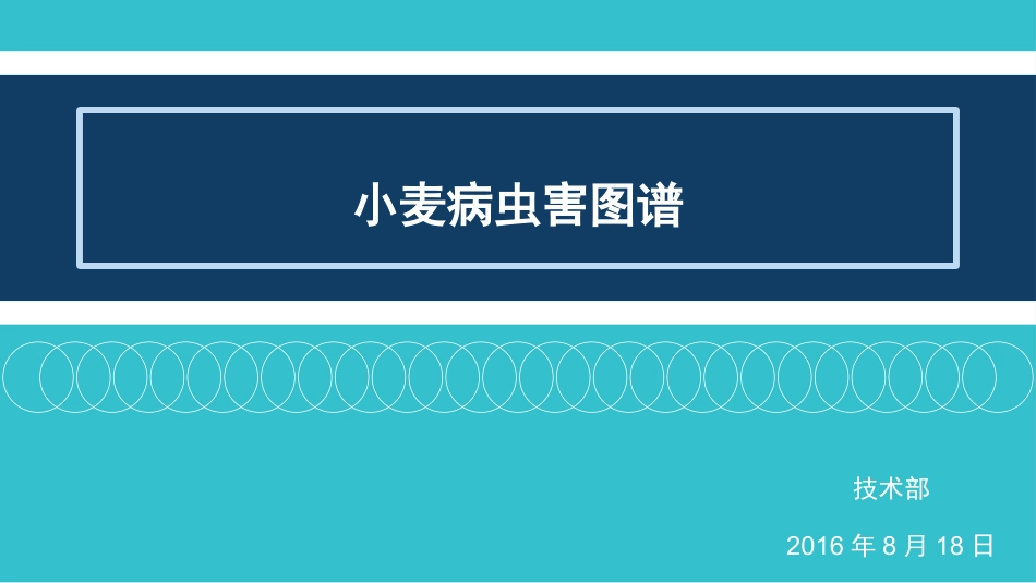 小麦病虫害图谱.pptx_第1页