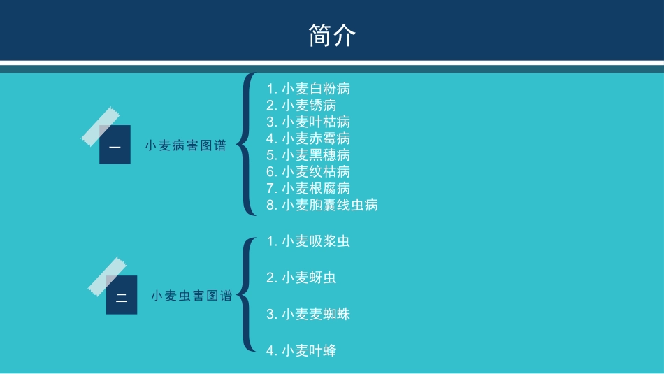 小麦病虫害图谱.pptx_第2页