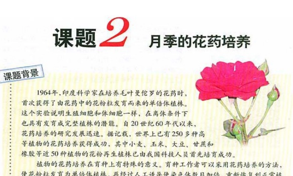 《月季的花药培养》zjc资料.ppt