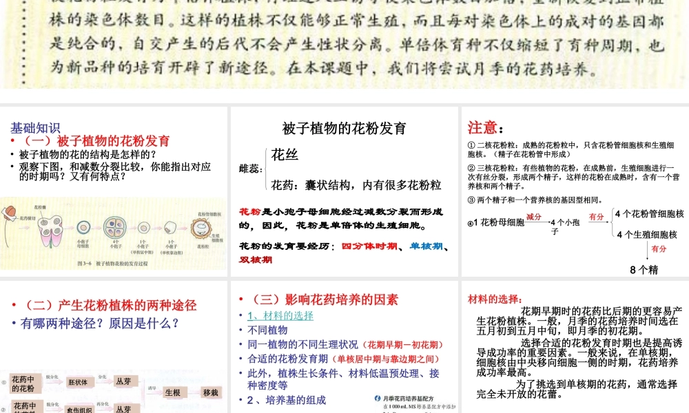 《月季的花药培养》zjc资料.ppt