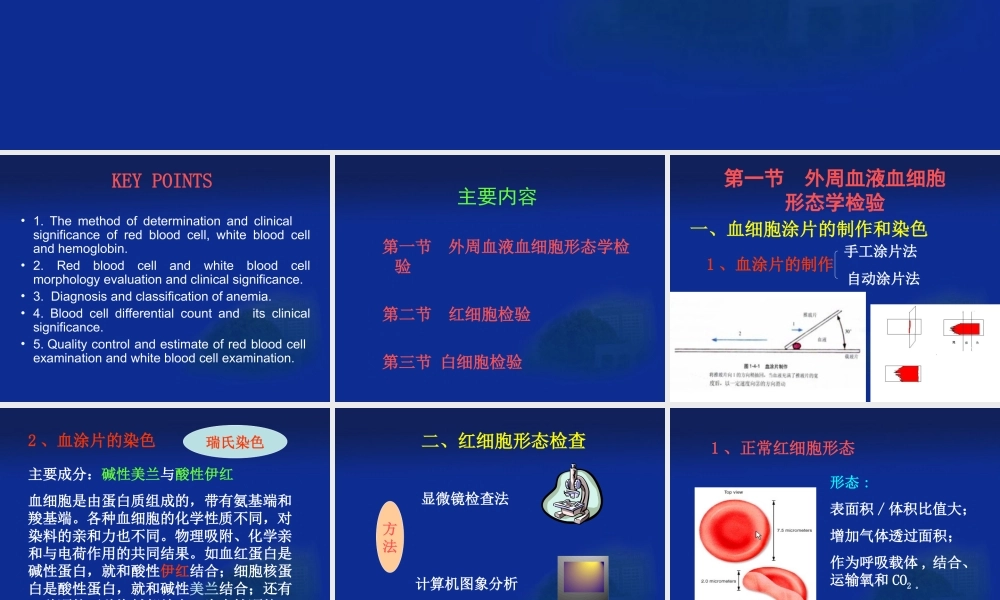 一般血液学检验.ppt