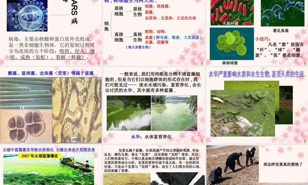 一章-第2节-细胞的多样性和统一性.ppt