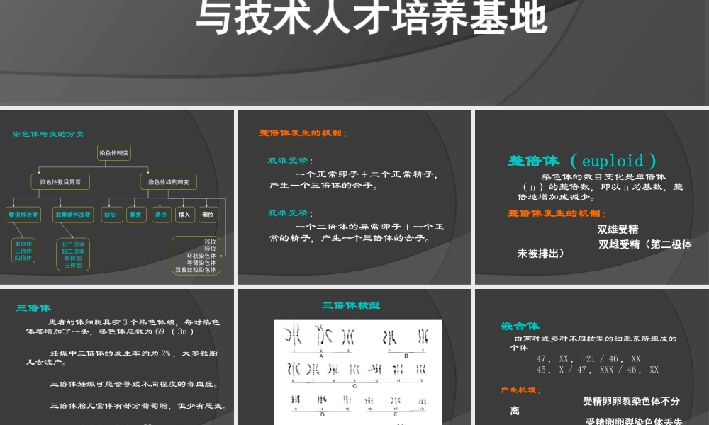 三倍体综合症和二倍体、三倍体混合型综合症.ppt