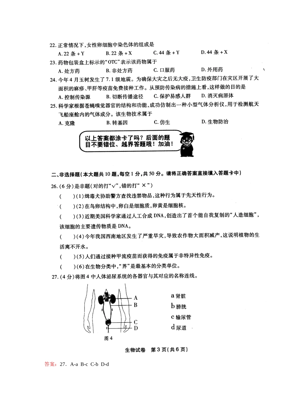 泌尿系统4.doc_第2页