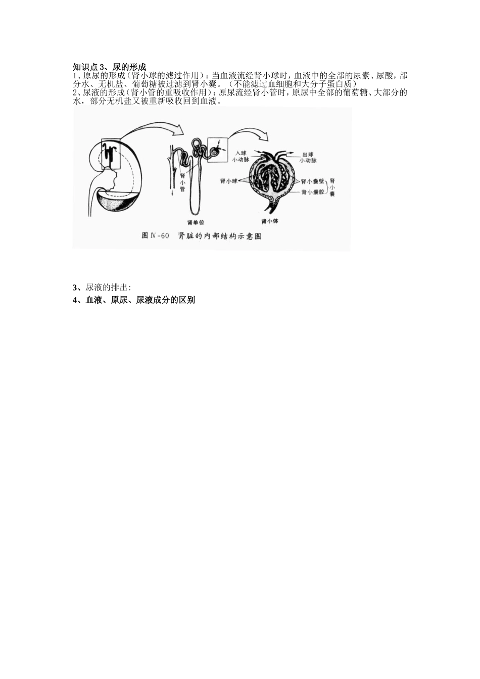 泌尿系统4.doc_第3页