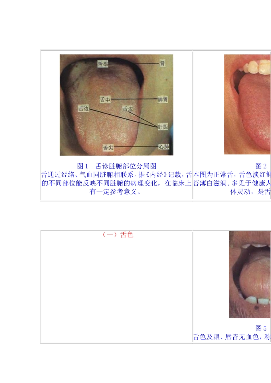 舌苔望诊图谱集.doc_第1页