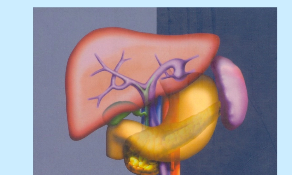 最新(2008[1].1.4职技中西医结合)肝硬化-文档资料.ppt