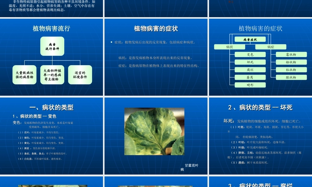 植物病害基础知识.ppt