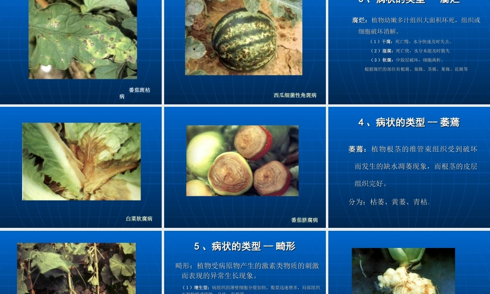 植物病害基础知识.ppt