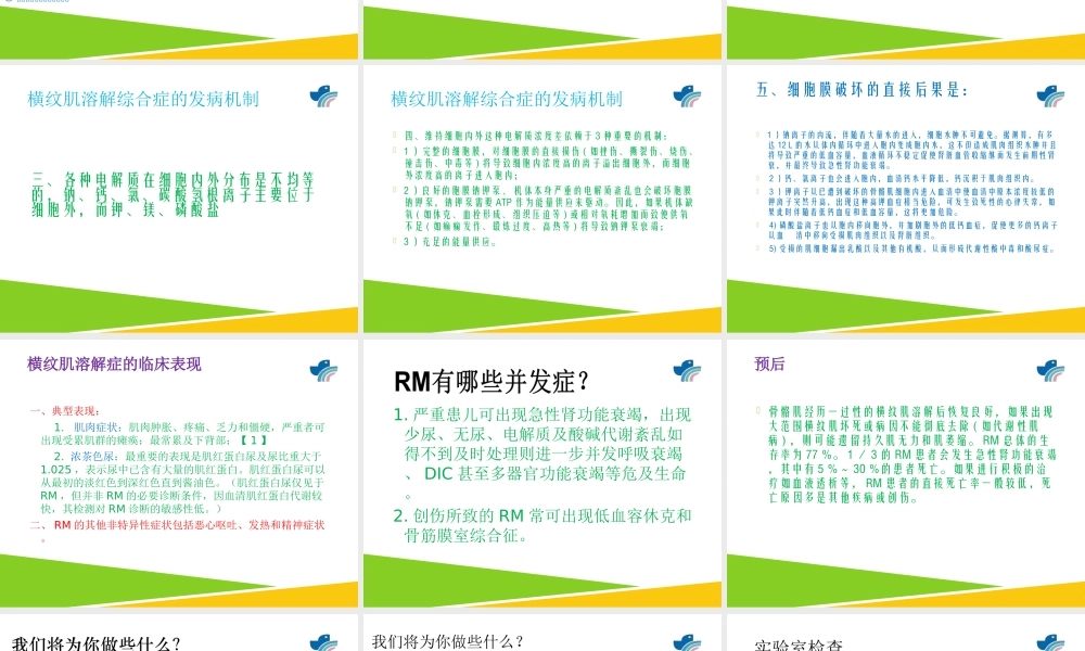 横纹肌溶解综合症(科室).ppt